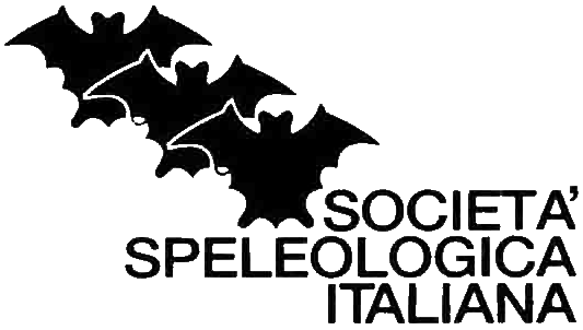 logo SSI